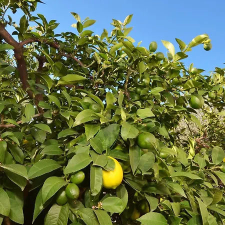 Apartament With A Parking Space Mavarstica, Ciovo - 16215